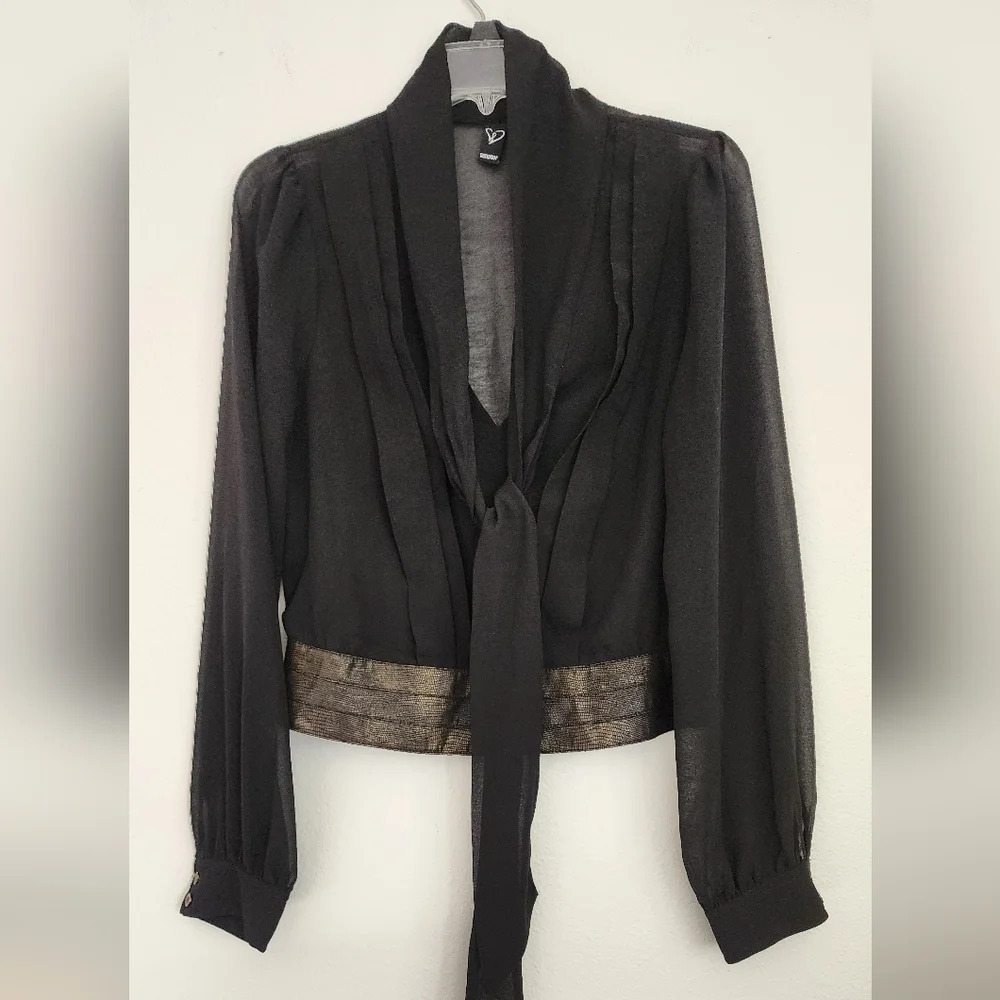 Windsor Rhinestone Black Pleated V Neck Tie Collar Sheer Blouse (L)